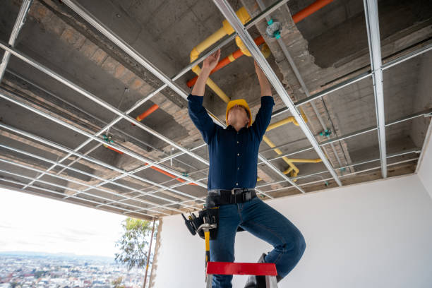 Best Residential Plumbing Services  in Island Heights, NJ